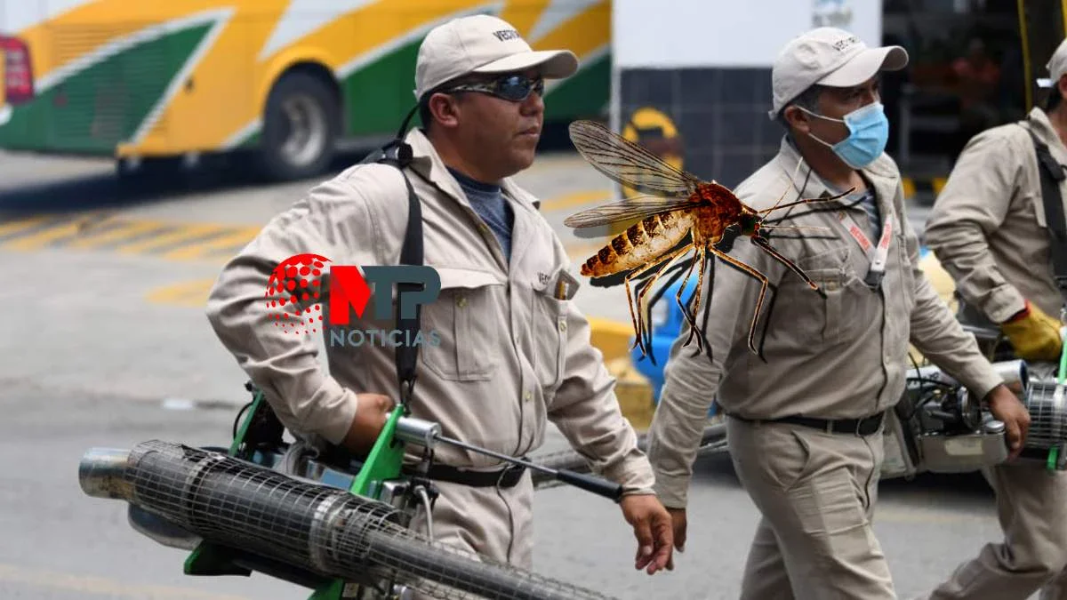 Dengue en Puebla: ¿cómo prevenir esta enfermedad que es letal?