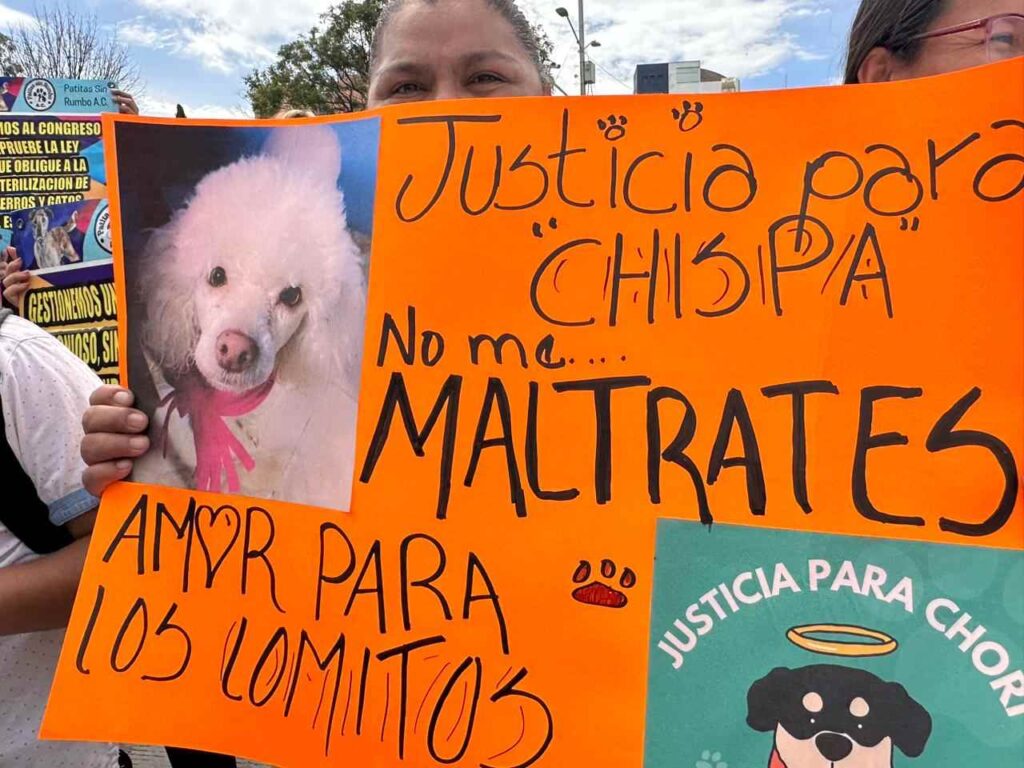 Protesta de animalistas frente a Fiscalía de Puebla.