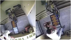 “Inadaptado” arroja perrita 'Enedina' de tercer piso en Huejotzingo: gobernador promete justicia