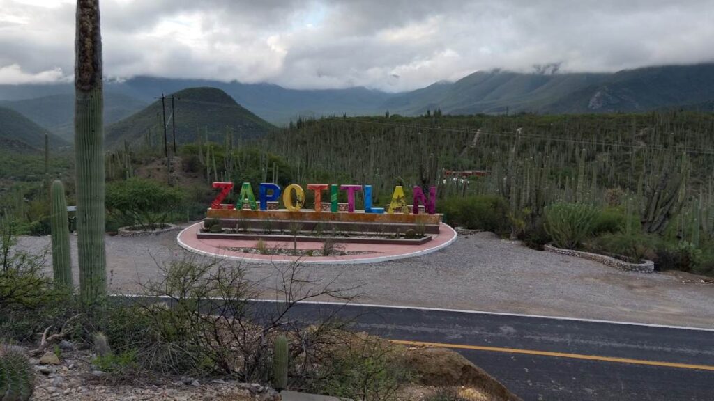 Reserva de la Biosfera Tehuacán-Cuicatlán: esto puedes hacer en este lugar turístico de Zapotitlán Salinas.