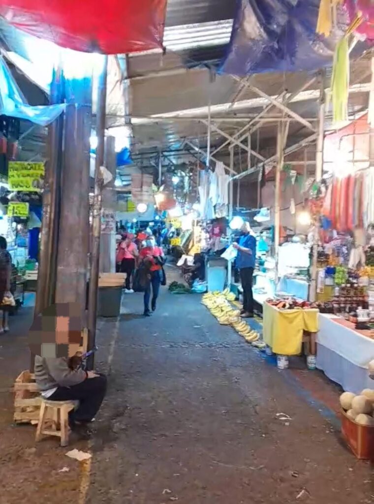 Pasillos Mercado Hidalgo