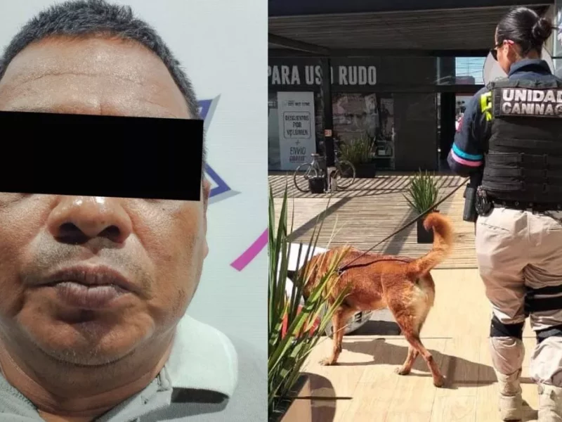 Perros policías atrapan a hombre con dos maletas de 'hierba mala'