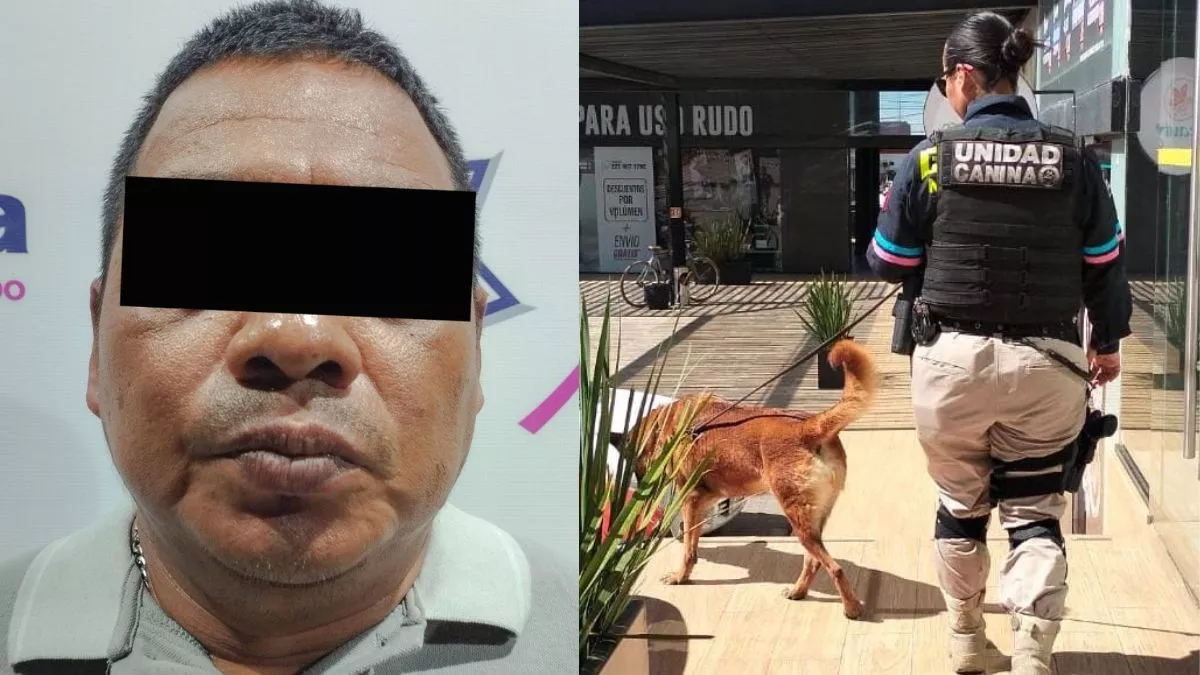 Perros policías atrapan a hombre con dos maletas de 'hierba mala'