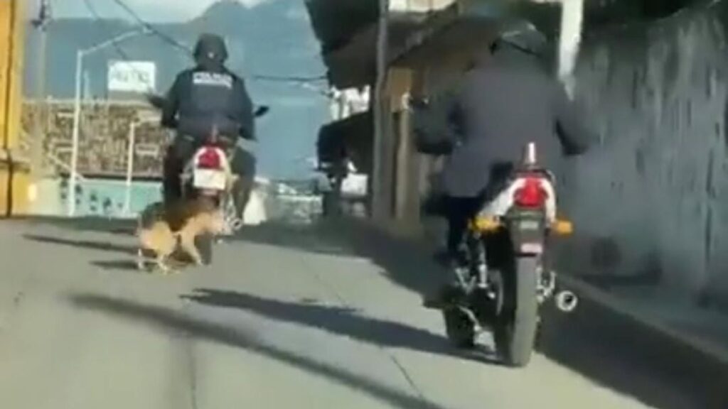 Policía de Veracruz arrastra a perrito
