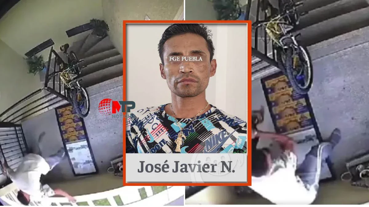 Cae José Javier por arrojar de tercer piso a perrita 'Enedina'