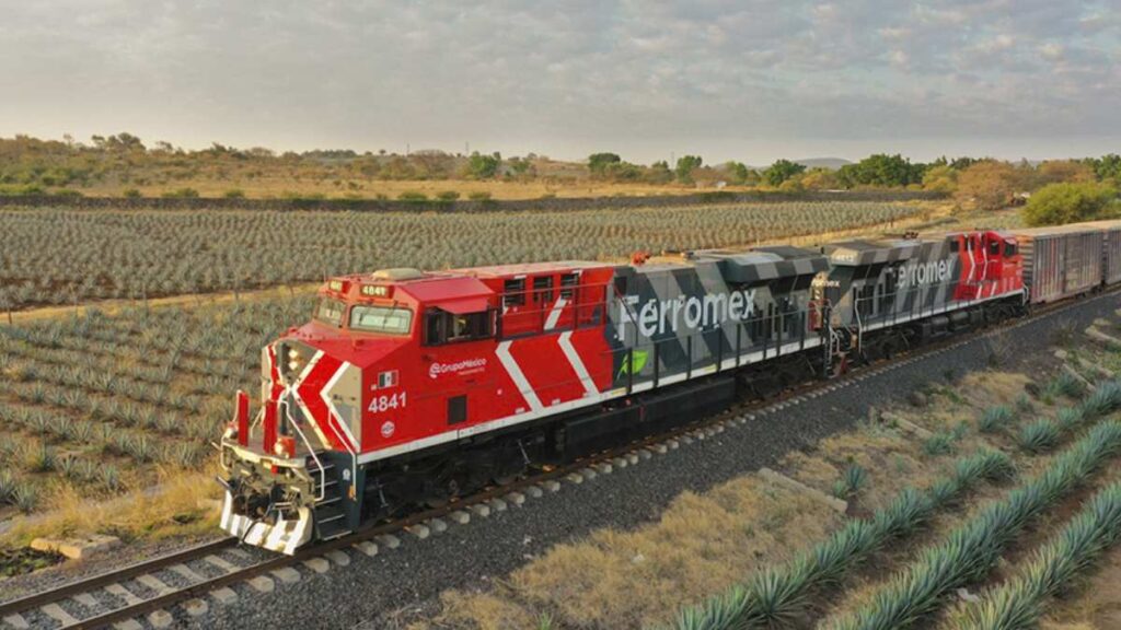 Ferrocarril de Ferromex circulando por campo.