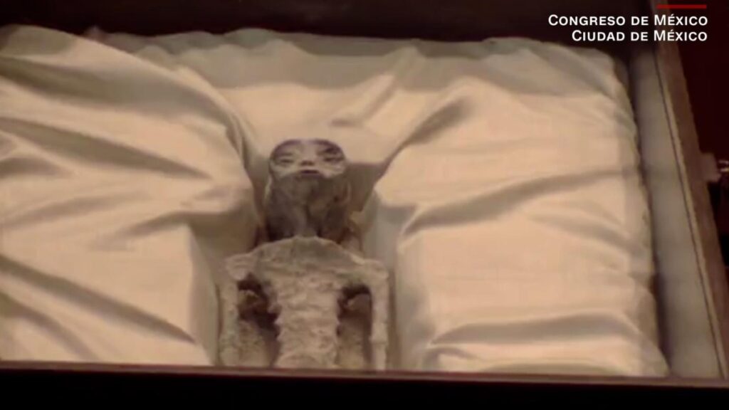 Presunto cadáver de alien e una caja presentado ante diputados federales de México.