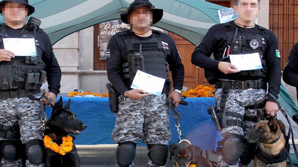 Policías de Aguascalientes con perros entrenados para ser del grupo K-9.