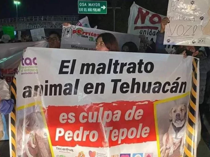 Prohíben la pirotecnia en Tehuacán para proteger animales y medio ambiente