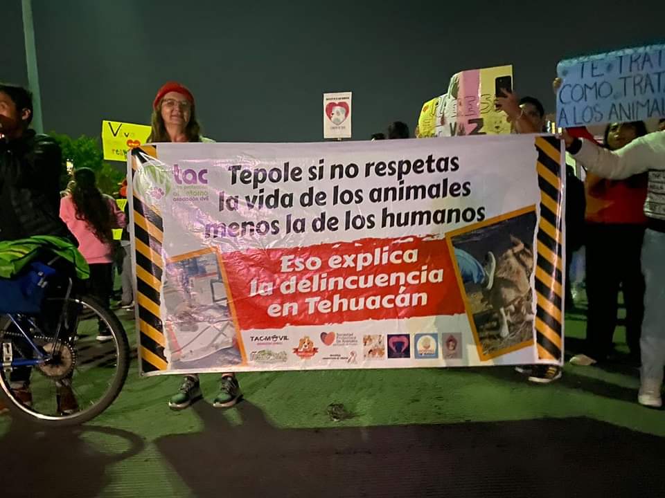 Protesta a favor de los animales en Tehuacán, Puebla.