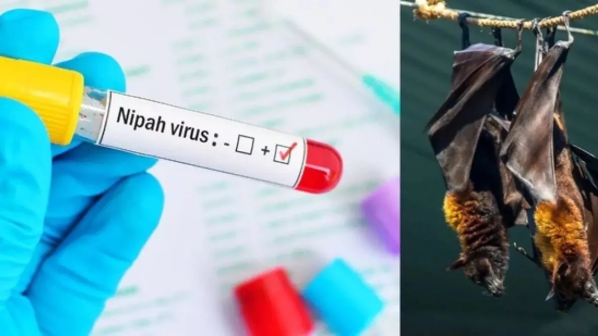 ¿Qué es el virus Nipah que se extiende con rapidez en la India?