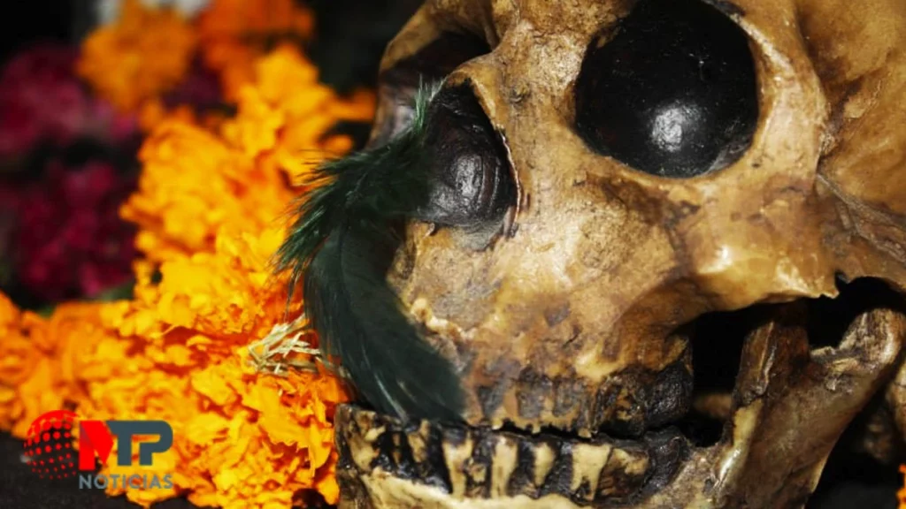 Día de Muertos 28 de octubre