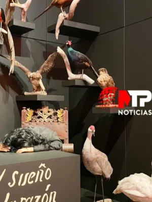 Exposición ‘Los Caprichos de Goya’ llega a Puebla: ¿dónde y cuánto cuesta la entrada?