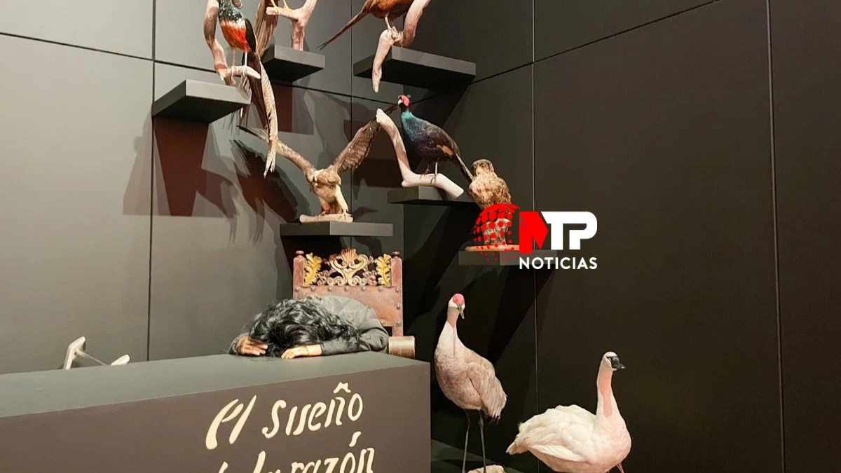 Exposición en el Museo Internacional del Barroco