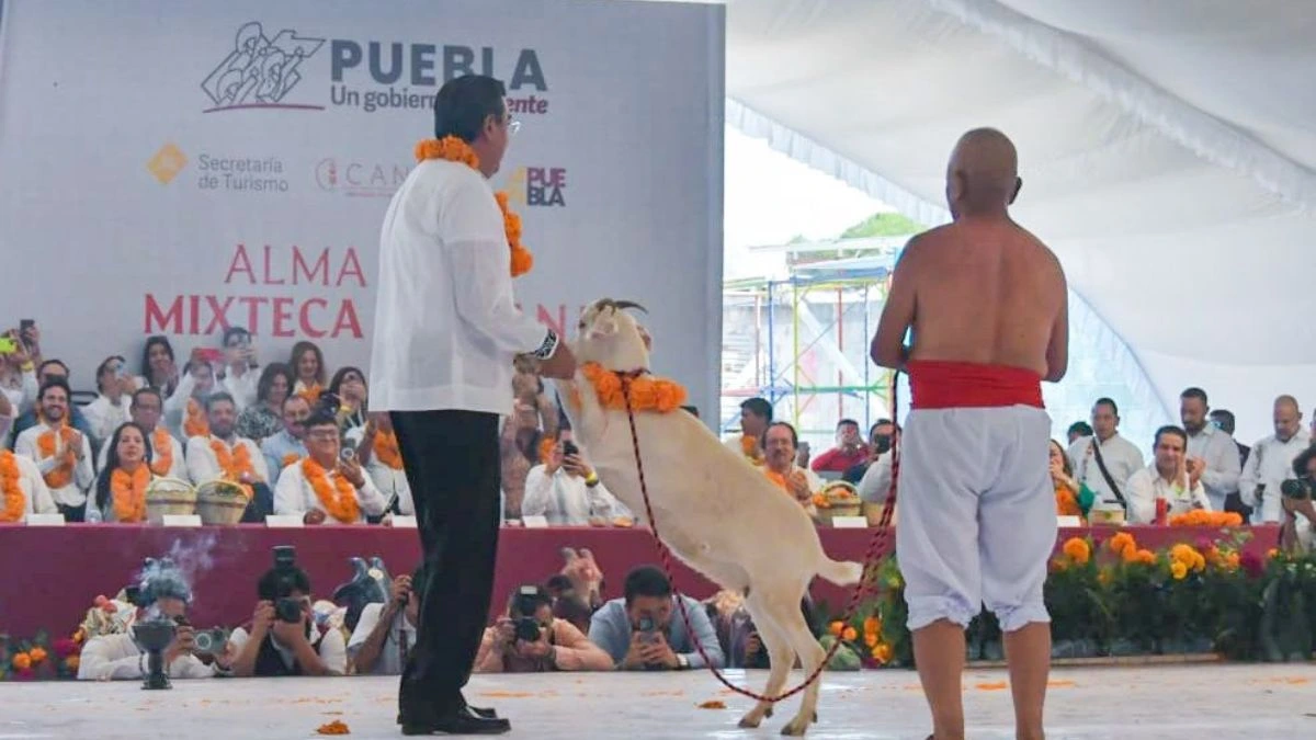 Gobernador Sergio Salomón bailando con un chivo en el ritual de matanza
