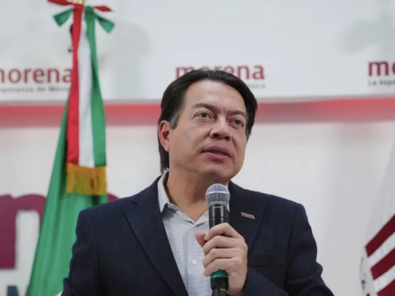 Presidente de Morena, Mario Delgado
