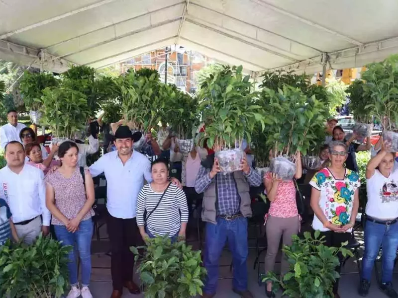 Porfirio Loeza cumple con entrega de 50 mil plantas en Tlatlauquitepec