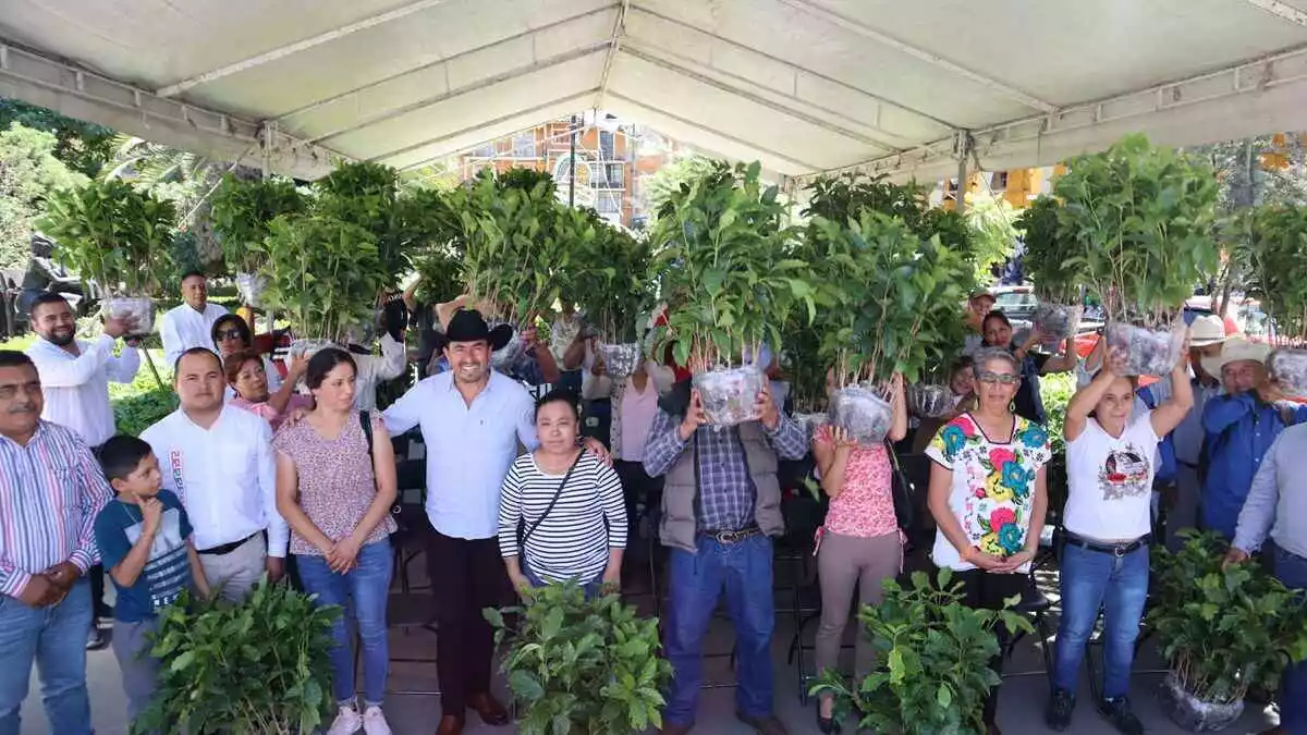 Porfirio Loeza cumple con entrega de 50 mil plantas en Tlatlauquitepec