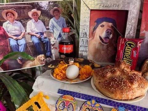 Fotografías de personas con mascotas en ofrenda de Día De Muertos.