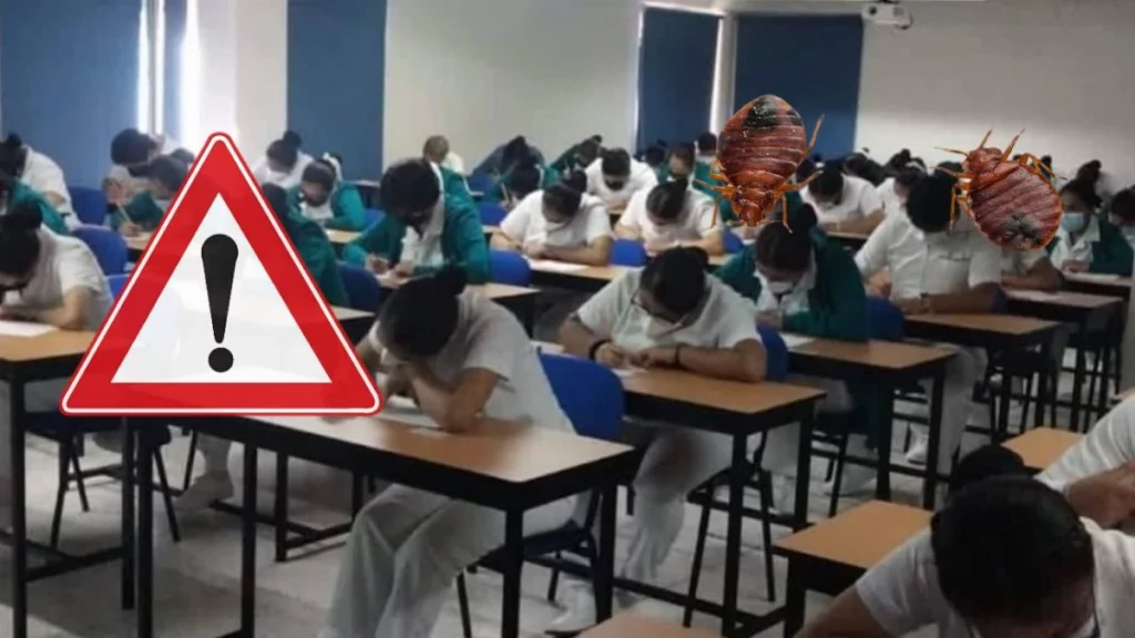 Plaga de chinches en Escuela de Enfermería Angelópolis: suspenden clases