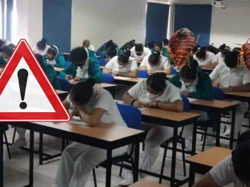 Plaga de chinches en Escuela de Enfermería Angelópolis: suspenden clases
