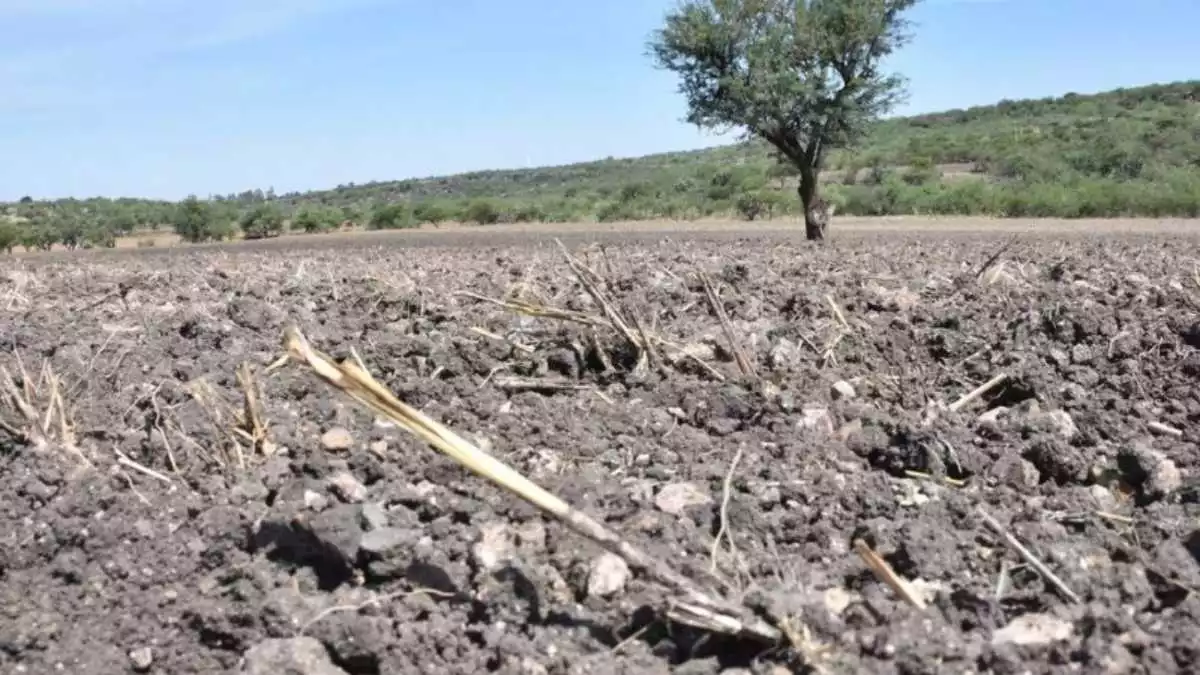 Cambio climático y no avionetas, causante de sequía en Tepanco y Tlacotepec: especialistas