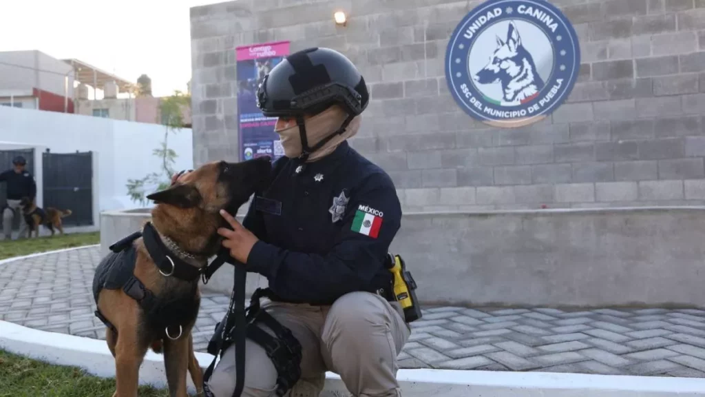 Se incorporan siete perros más a la unidad K9 de Puebla Capital