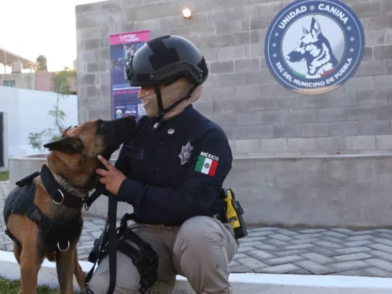 Se incorporan siete perros más a la unidad K9 de Puebla Capital