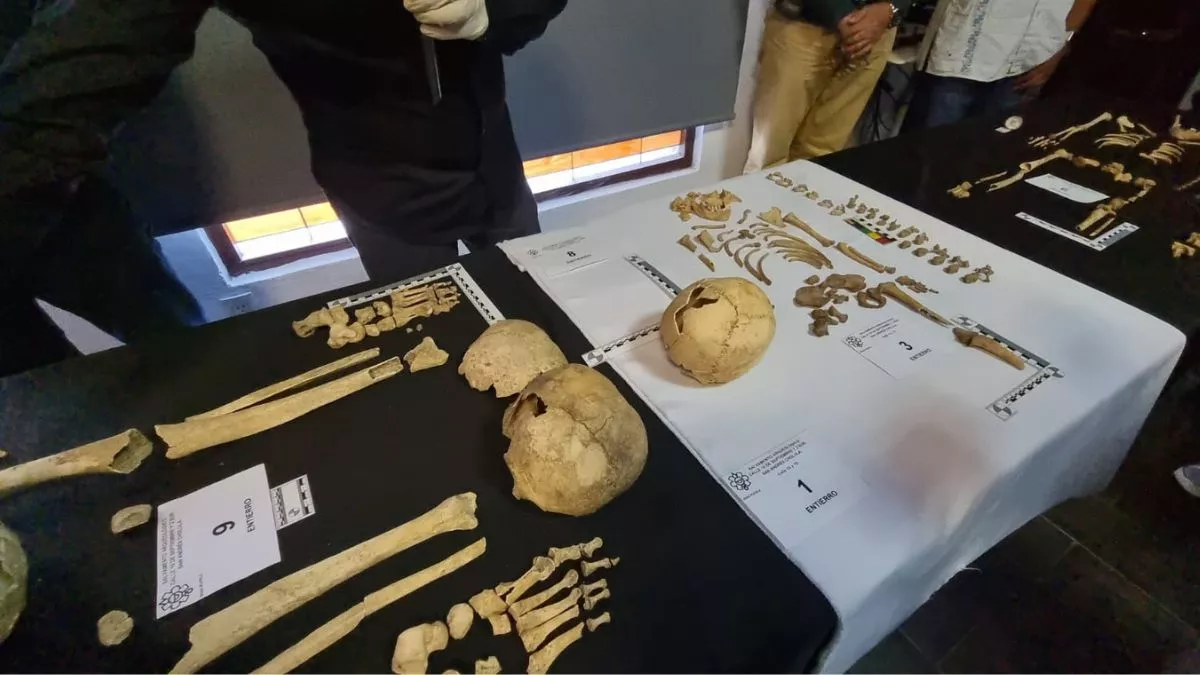 Rompen cráneo de 700 años durante presentación de piezas