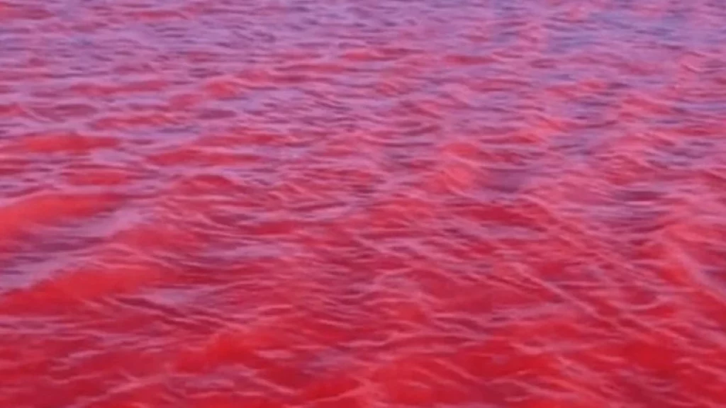 ¿Presagio bíblico? Río Nilo se pinta de rojo