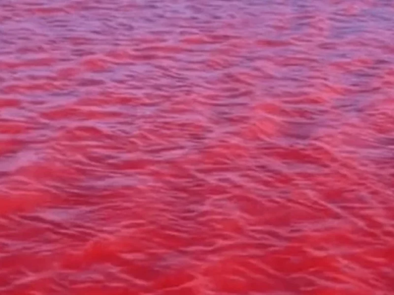 ¿Presagio bíblico? Río Nilo se pinta de rojo