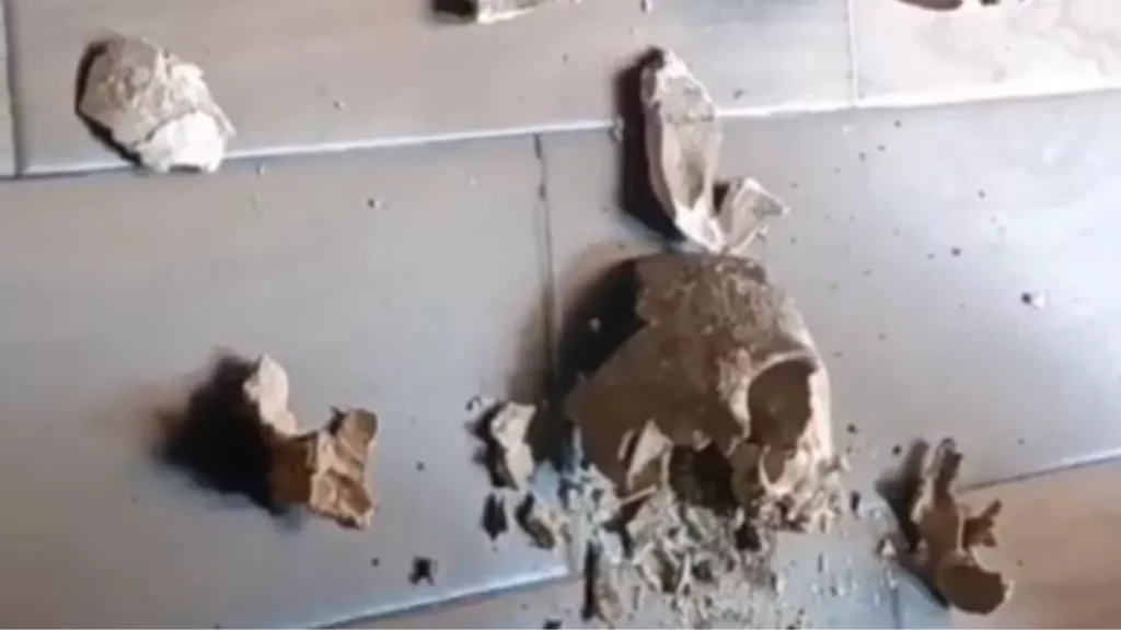 Rompen cráneo de 700 años durante presentación de piezas