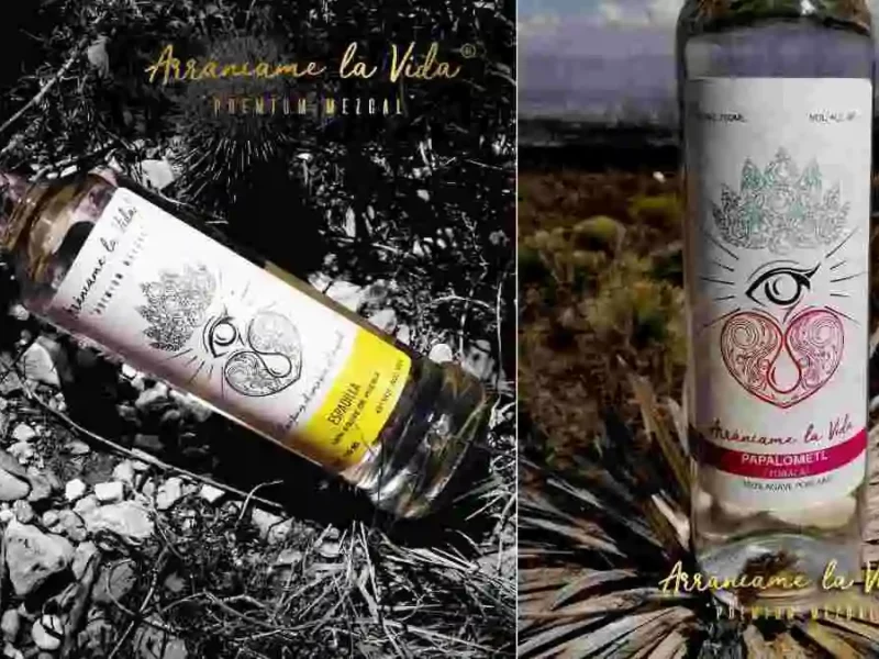 'Arráncame la vida': el mejor mezcal de México está en Puebla