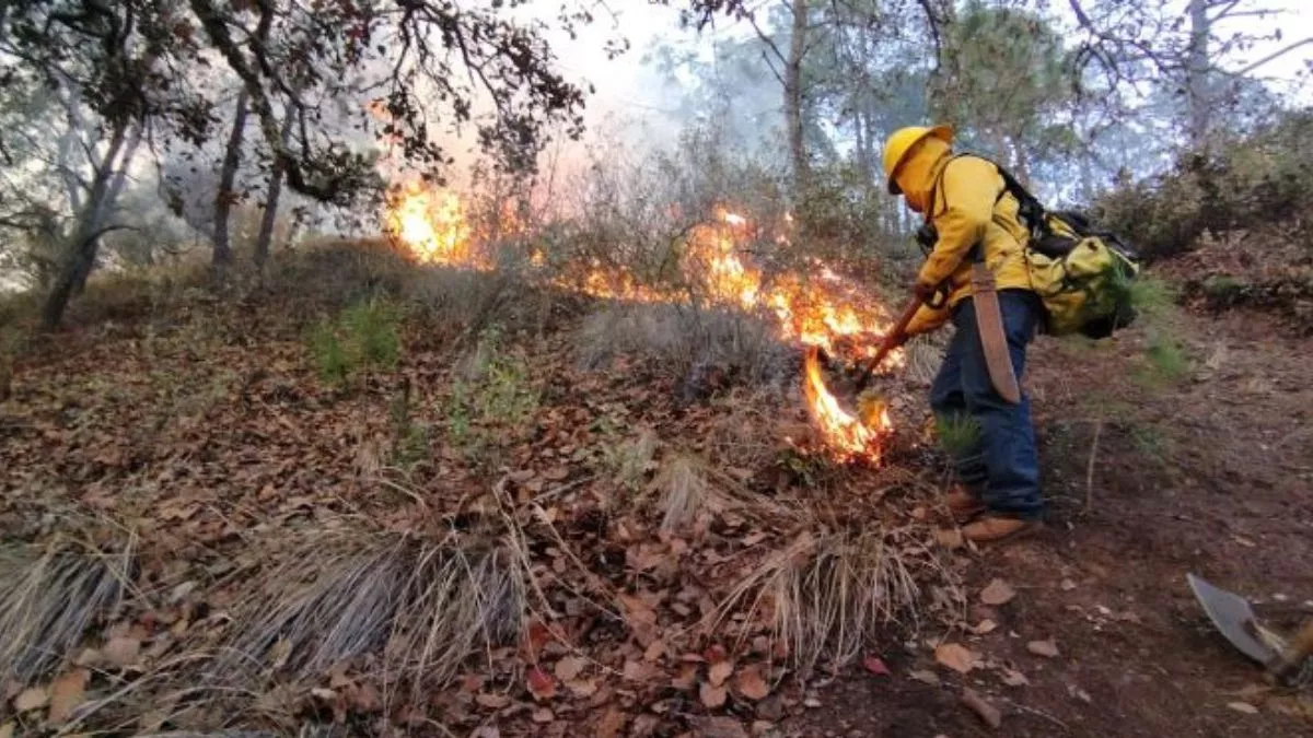 El 2023, el año con más incendios forestales en Puebla