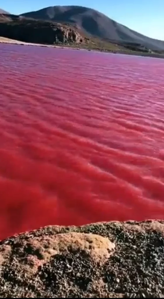 ¿Presagio bíblico? Río Nilo se pinta de rojo