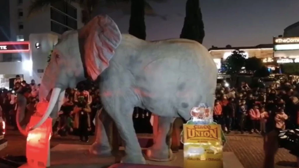 Elefante de Rey Mago en desfile