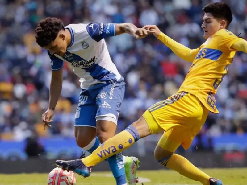 Tigres vs. Puebla: ¿dónde y a qué hora ver el partido?