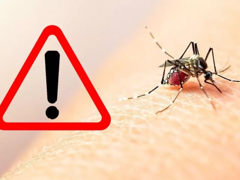 Suman seis muertos en Puebla por dengue: estos son los síntomas