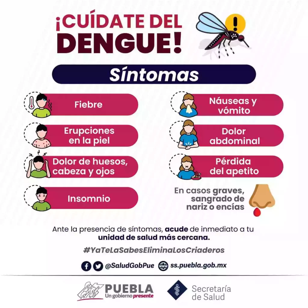 Suman seis muertos en Puebla por dengue: estos son los síntomas