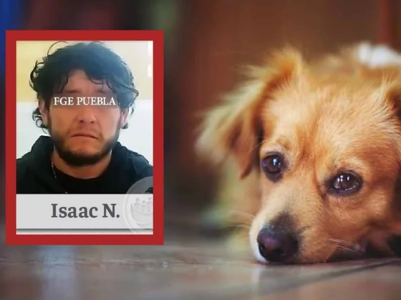 Isaac mató a la perrita ‘Guchi’ a balazos en el municipio de Quimaxtitlán