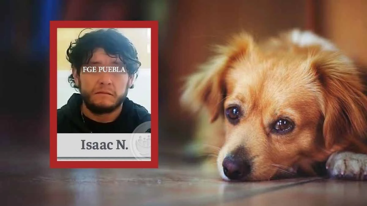 Isaac mató a la perrita ‘Guchi’ a balazos en el municipio de Quimaxtitlán