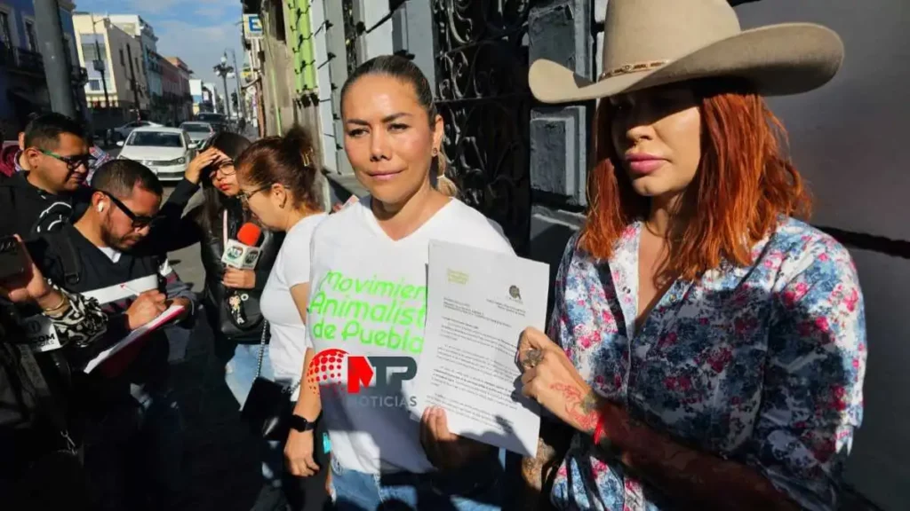 Aprobar cárcel contra violadores de animales en Puebla, exigen tras caso 'Mila'