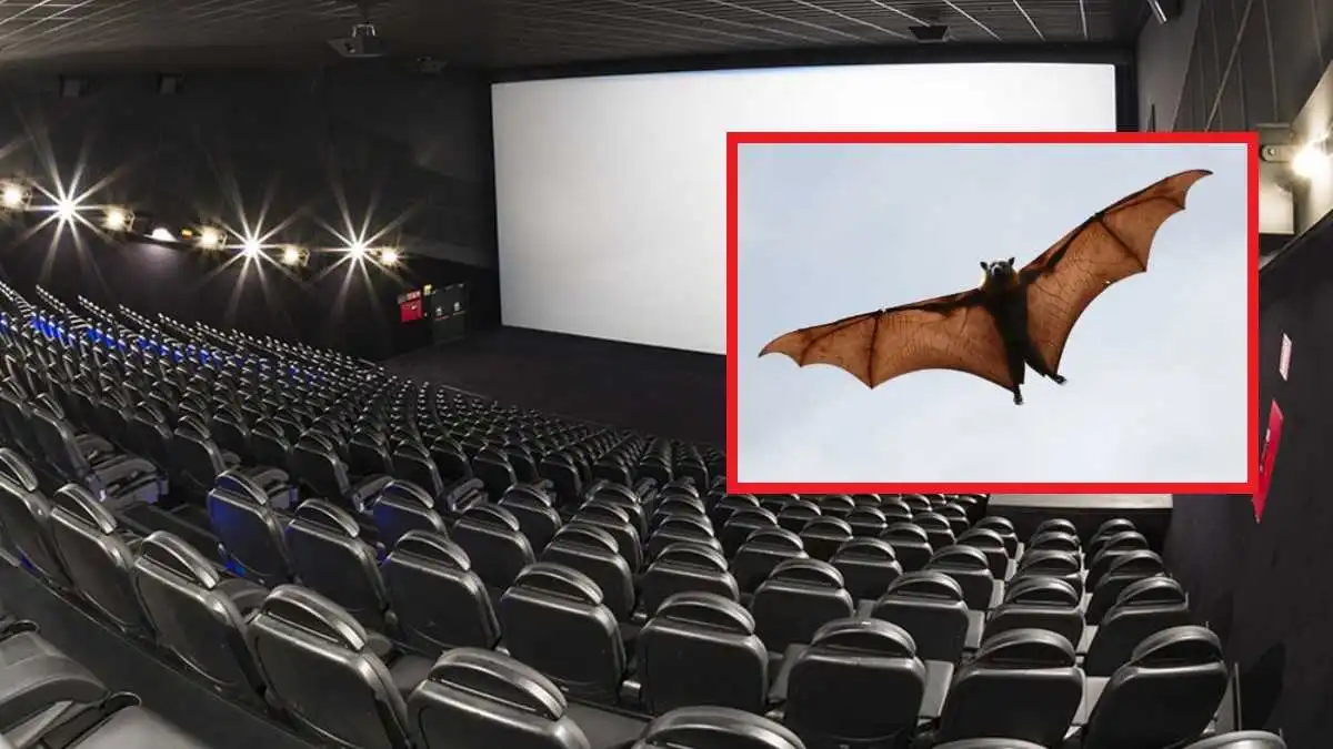 Joven asiste al cine y le pica un murciélago en plena función