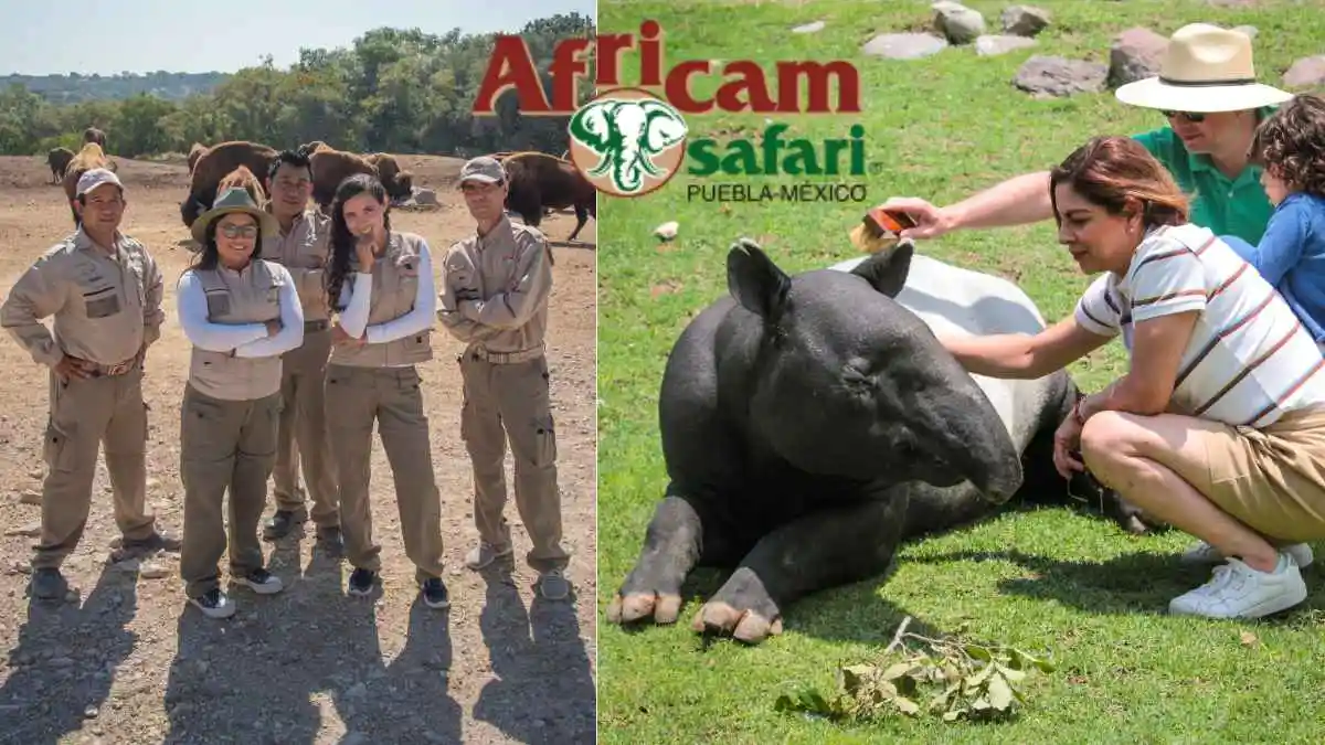 ¿Quién financia las operaciones de Africam Safari, el nuevo hogar de Benito?