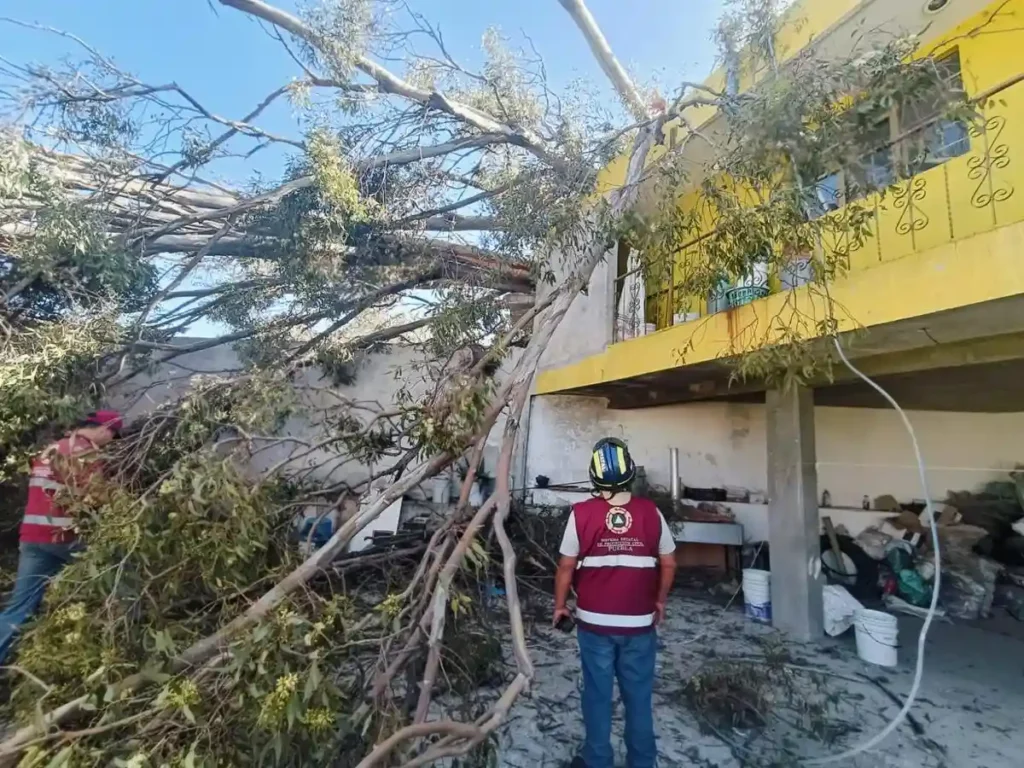 Árbol caído encima de casa y personal de Protección Civil de Puebla en el lugar.