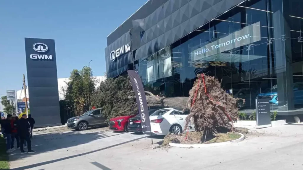 Fuertes ráfagas de viento en Puebla: autos de lujo con daños, 27 árboles derribados y más