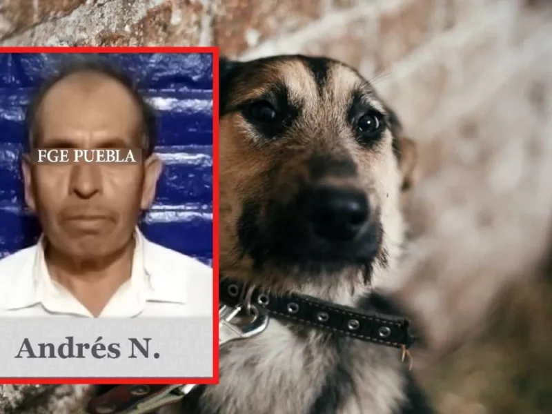 Por matar a dos perros en Tehuacán dan 3 años y seis meses de prisión a Andrés