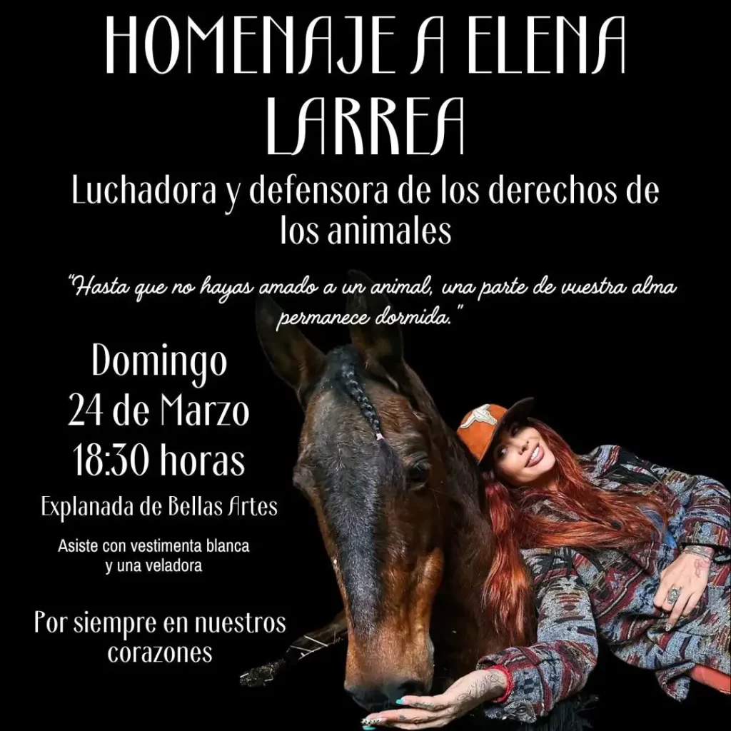Invitación de homenaje a Elena Larrea en explanada de Bellas Artes.