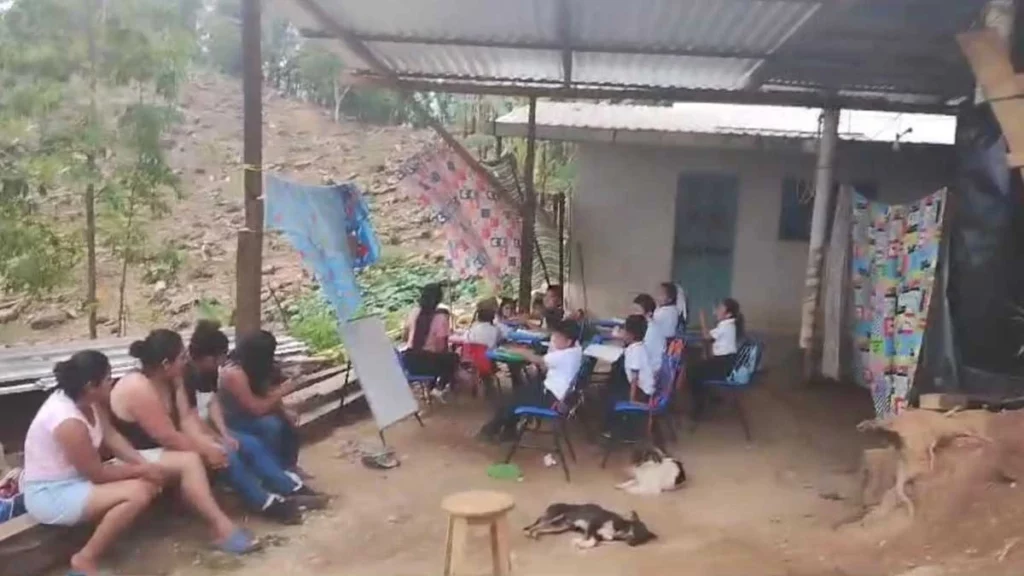 Embargan primaria de Hueytamalco, ahora niños toman clases entre cultivos