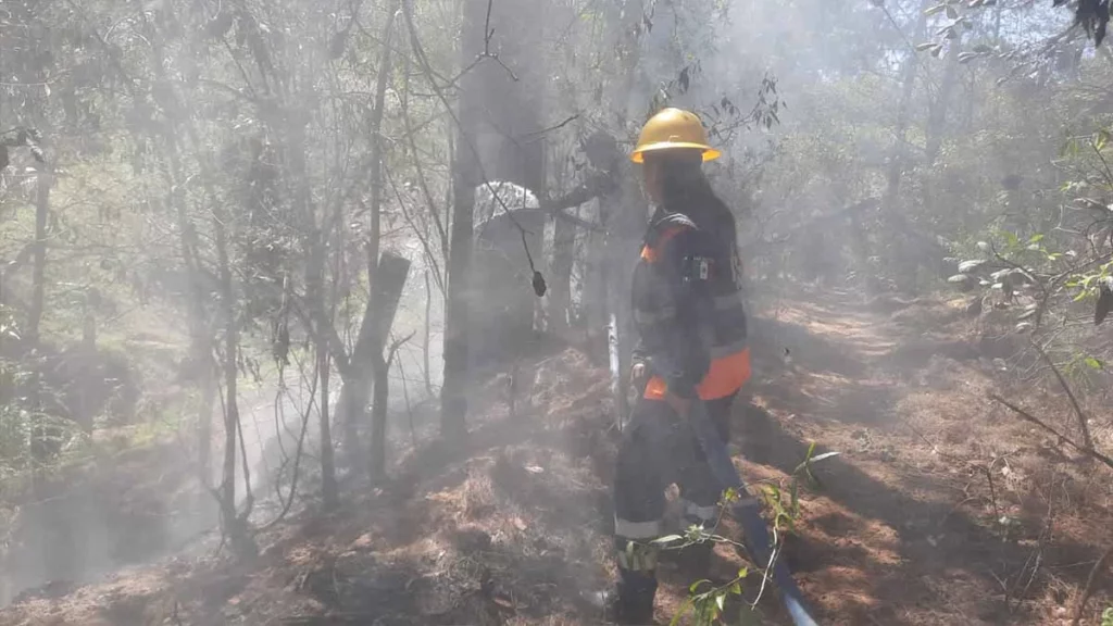 Controlan 35 incendios forestales en Tlatlauquitepec